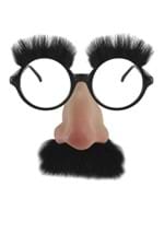 HC0066 Groucho Marx Funny Glasses