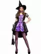 HC0026Enchantress Witch Women's Halloween Fancy Dress Costume Black Costume, Dress, Bodysuit Sexy Dress Stage Performance Costume