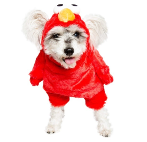 P0136 Red Bird Head Pet Costume Pet Clothing Spring And Summer Thin Section Cute Thin Breathable Sunscreen Comfortable Cat Dog Clothes