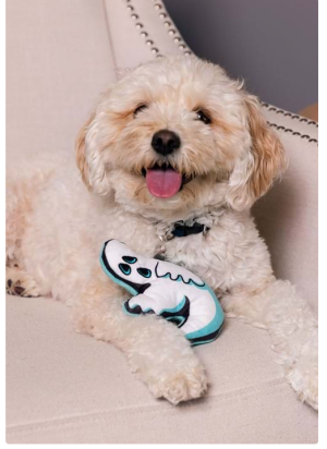 P0149 Ghost Squeaky Dog Toy Pet Clothing Spring And Summer Thin Section Cute Thin Breathable Sunscreen Comfortable Cat Dog Clothes