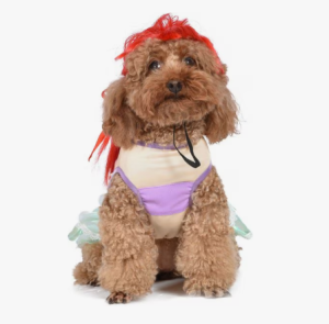 P0195 Halloween Princess Dog Costume Pet Clothing Spring And Summer Thin Section Cute Thin Breathable Sunscreen Comfortable Cat Dog Clothes