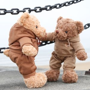 AM0097 Dark brown sports bear plush toy, Teddy bear, little bear hug bear plush toy, bear pillow doll, wedding gift, 50cm/520g