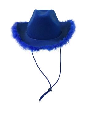 HT201 Western Style Cowboy & Cowgirl Hats - Feather Trim Customized Silver Wire Feather-edge Western Cowboy Hat for Men