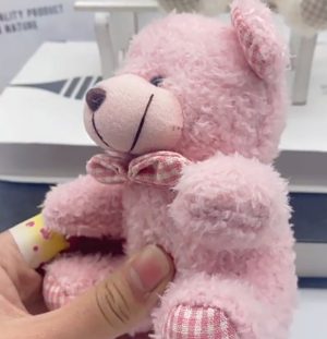 AM0092 Cute little bear pendant, claw machine doll, doll key chain, cartoon key chain, plush toy, Pink13cm